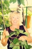 In the garden