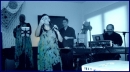 Vinesong in action