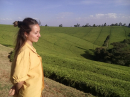 Beautiful Kenya - beautiful Aroa